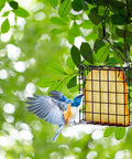2 Pack Suet Bird Feeders For Outdoor Hanging, Backyard Bird Watching Station That Holds One Suet Cake Each, Durable Garden Cage To Attract Wild Birds In Your Yard