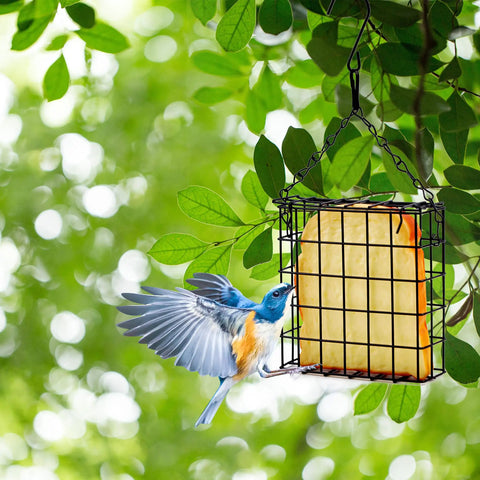 2 Pack Suet Bird Feeders For Outdoor Hanging, Backyard Bird Watching Station That Holds One Suet Cake Each, Durable Garden Cage To Attract Wild Birds In Your Yard