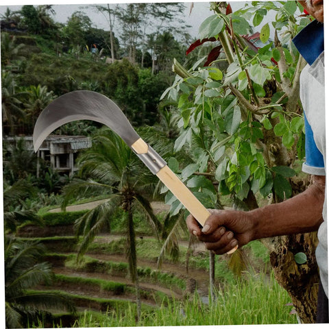 Long Handle Manganese Steel Grass Sickle For Weeding And Harvesting Garden Care With Non Slip Wooden Handle Comfortable Grip Versatile Workhorse Lawn Tool For Easy Yard Work And Maintenance in a lush garden setting.