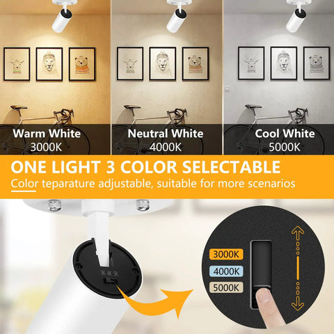 Three Color Temperature Adjustable LED Ceiling Spotlight Flush Mount With Directional Beam For Living Room And Bedroom 10W 800lm CRI90 White