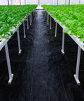 Pro Grade 5oz Landscape Fabric Weed Barrier Mat 3 Feet By 50 Feet Heavy Duty Ground Cover in a greenhouse garden path