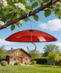8 Inch Weather Guard Dome For Bird Feeder Red Protective Cover Shields Rain Snow Sun 20cm Diameter Fits Smaller Feeders With Stainless Hook Durable All Weather Bird Feeder Accessory on branch