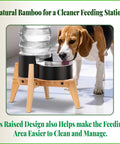 Top Shelf Bamboo Dog Food And Water Dispenser Stand For Medium Dogs Adjustable Pet Feeder Rack with water dispenser in use.