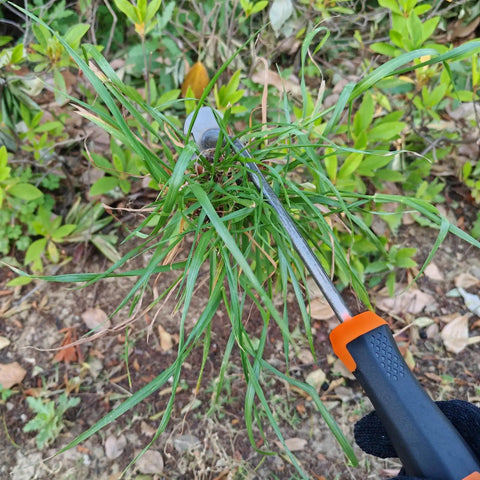 Dual Purpose 4-Teeth Weeder Tool With Rubber Handle uprooting weeds in garden, showing grip and metal construction