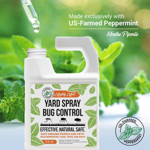 Peppermint Oil Lawn And Yard Bug Control Spray Pack Of 2 32 Oz bottle with green leaves background