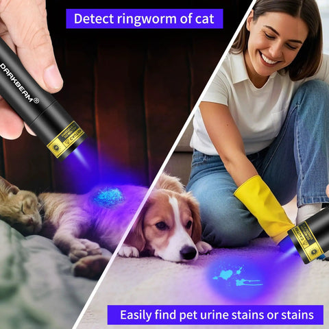 Person using 365 Nanometer Mini Black Light UV Flashlight With USB Rechargeable Power for finding pet urine stains on carpet