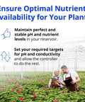 WiFi Enabled Hydroponics Pro Controller For Around The Clock Automated PH, EC And Temperature Dosing in greenhouse setting