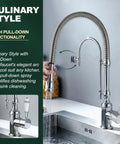 Ialtruistic 2-in-1 High Arc Pull Down Swivel Kitchen Faucet, Chrome with elegant coil design and pull-down spray in action.