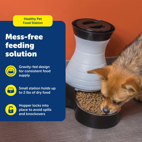 Hassle Free Double Pack Small Gravity Pet Food Station With Stainless Steel Bowl For Cats And Dogs Space Saving Self Dispenser for dog eating.