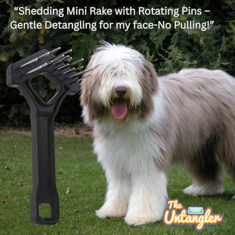 Undercoat Dematting Mini Rake For Doggos And Kitties With V Shape Head And Double Row Stainless Steel Rotating Teeth next to furry dog