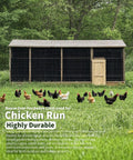 Top Shelf Black Vinyl Coated Galvanized Steel Hardware Cloth Wire Mesh 1/2 Inch 48 By 50 Feet 19 Gauge Rust Proof Outdoor Chicken Coop Kennel Garden Run Fencing Roll in a sturdy chicken run with multiple hens.