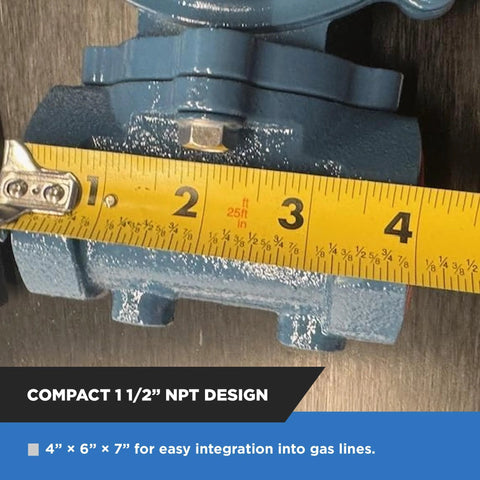 NMT NGR02-50 natural gas regulator, 1/2 in NPT, low-pressure, internal relief valve, blue metal body