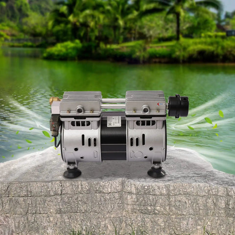 Three Quarter HP Pond Aeration Pump With Quiet Silencer, 1680 RPM, Delivers 85 Liters Per Minute Air Flow in front of pond