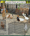 15 Panels Tall Garden Animal Barrier Fence With Gate No Dig Outdoor Fence for Yard 33 in High by 36.8 ft Long Heavy Duty Rustproof Metal Edging Border installed with chickens inside