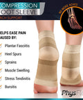 Back view of All Day Wear 20 To 30 MmHg Compression Sock For Foot Pain Relief Targeting Plantar Fasciitis And Achilles Tendonitis