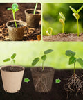 65 Pack Organic Peat Pots For Seed Starting, 3.15 Inch Round Nursery Pots With Drainage Holes showing plant germination stages