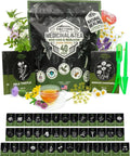 40 Medicinal And Tea Herb Seeds Variety Pack For Indoor And Outdoor Gardens Windowsill Friendly Heirloom USA Grown Non GMO