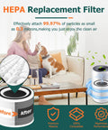 Diagram showing 3-In-1 H13 True HEPA Activated Carbon Replacement Filter for 300 purifiers, with person and pet in living room.