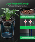 Deep Water Culture Hydroponics System With Top Drip Kit For Four Buckets 5 Gallon DWC Grow Kit showing plant growth setup