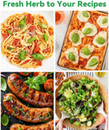 Four dishes including spaghetti, pizza, grilled sausages, and salad garnished with fresh herbs and vegetables.
