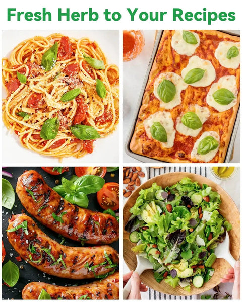 Four dishes including spaghetti, pizza, grilled sausages, and salad garnished with fresh herbs and vegetables.