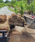Heavy Duty 42 Inch Clamp On Debris Forks for Skid Steer With 2500 Lbs Capacity lifting grass rolls on a dirt road