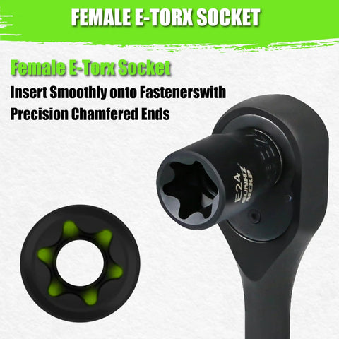 Female E-Torx socket from Beefy 60 Piece Master Torx Socket Set With External Torx Sockets And Bit Sockets In S2 Alloy Steel For Auto Repair