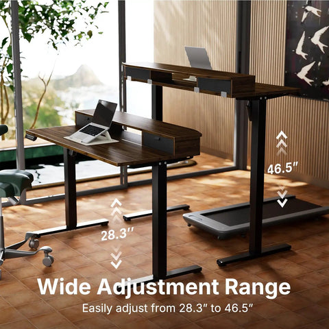Spacious 40 X 24 Electric Standing Desk With Two Drawers And Hooks, Height Adjustable Computer Workstation C Clamp Mount Home Office Ergonomic Sit Stand Table Walnut in use, showcasing height adjustment options.