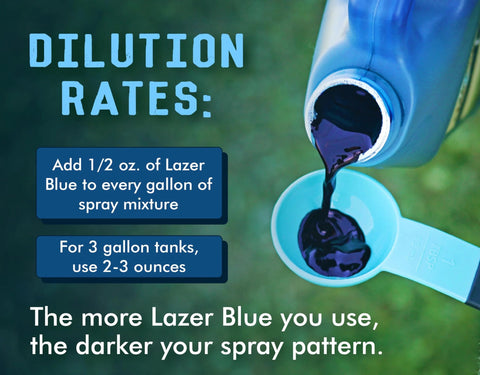 Liquid Harvest Lazer Blue concentrate; blue lawn spray dye, 8 oz bottle, poured into a measuring cup.