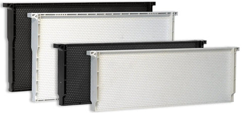 Medium Plastic Beekeeping Frames 10 Pack In Black Wax Coated Ready To Use No Assembly Required Made In USA Durable
