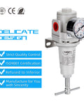 Half Inch NPT High Pressure Air Regulator With T Handle, 0-300 Psi Gauge, Metal Bracket