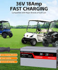 Rugged 36 Volt 18 Amp Golf Cart Battery Charger Featuring Smart Three Stage Charging For Lead Acid Packs with 16 foot cable.