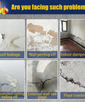 Image showing various structural issues: roof leakage, wall peeling, indoor dampness, ceiling damage, wall seepage, floor cracking.