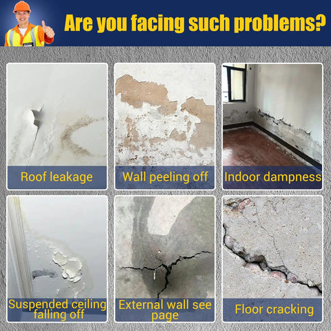 Image showing various structural issues: roof leakage, wall peeling, indoor dampness, ceiling damage, wall seepage, floor cracking.