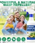 2 Pack 16 Oz Bee And Wasp Spray With Natural Peppermint Oil For Outdoor Use Kills Yellow Jackets Hornets Carpenter Bees Safe