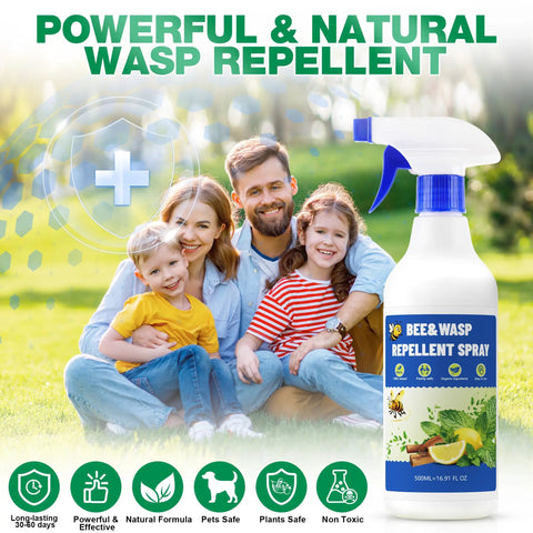 2 Pack 16 Oz Bee And Wasp Spray With Natural Peppermint Oil For Outdoor Use Kills Yellow Jackets Hornets Carpenter Bees Safe