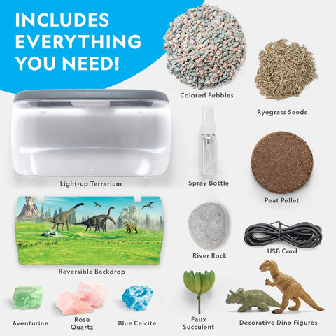 Light Up Dino Terrarium Kit For Kids Lets Them Grow Real Plants And Gemstones To Build A Prehistoric Habitat With Backdrop components
