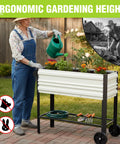 Raised Garden Bed On Legs And Wheels Galvanized Planter With 400 Lb Capacity 37 By 14.6 By 31.6 Inches Elevated Garden Box in use