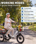 FatGo1 1000W Folding Electric Tricycle for Adults With Basket Fat Tire 3 Wheel Ebike 48V 648Wh Removable Battery, senior rider