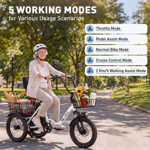 FatGo1 1000W Folding Electric Tricycle for Adults With Basket Fat Tire 3 Wheel Ebike 48V 648Wh Removable Battery, senior rider