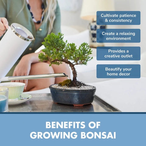 Person tending to mini bonsai tree with watering can, showcasing benefits of growing bonsai in home decor