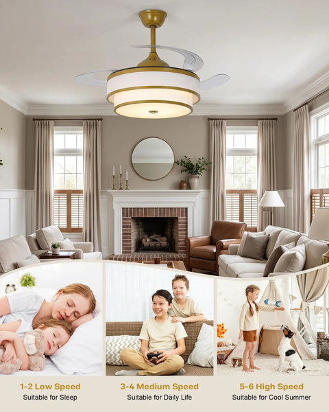 Velsgate 48 Inch Retractable Ceiling Fans with Lights and Remote in a cozy living room setup with multiple speed options visible.