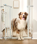Extra Tall Walk Through Dog Gate For Doorways And Stairs Metal Pet Gate With Small Pet Door Expands From Twenty Nine And A Half To Thirty Six And A Half Inches White Secure Indoor Barrier For Big And Jumpy Dogs with open gate and large dog
