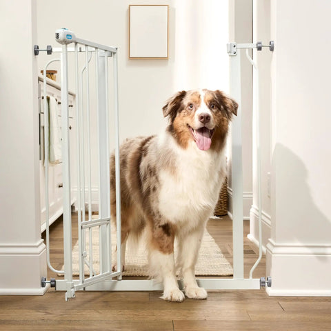 Extra Tall Walk Through Dog Gate For Doorways And Stairs Metal Pet Gate With Small Pet Door Expands From Twenty Nine And A Half To Thirty Six And A Half Inches White Secure Indoor Barrier For Big And Jumpy Dogs with open gate and large dog