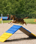 Dog leaping off Dog Agility A Frame For Large Dogs 82 By 23 Inches Adjustable Foldable Training Ramp in park