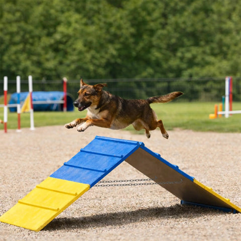 Dog leaping off Dog Agility A Frame For Large Dogs 82 By 23 Inches Adjustable Foldable Training Ramp in park