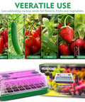 2 Pack 80 Cell Seed Starter Kit With Humidity Dome And Grow Light Adjustable Brightness And Smart Timer 3 Light Modes 5 Brightness Levels Indoor Germination Tray For Seedlings All In One Plant Starter System with vegetables and packaging