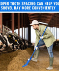 Man using Three Sets Metal Manure Fork With Long Handle Pitch Fork Muck Rake in barn with cows, 15x11 in head, blue handle