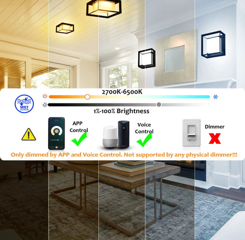 11 Inch WiFi Smart LED Flush Mount Light For Indoor And Outdoor Use 20W RGBCW Color Changing 1400 Lumens 2700K To 6500K Black Finish display