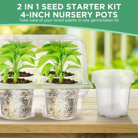 10 Pack Seed Starter Tray Kit With 60 Cell Seedling Trays and 4 Inch Nursery Pots showing seedlings and humidity dome on table.